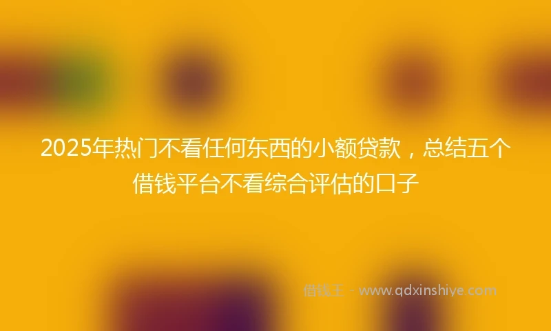 2025年热门不看任何东西的小额贷款，总结五个借钱平台不看综合评估的口子