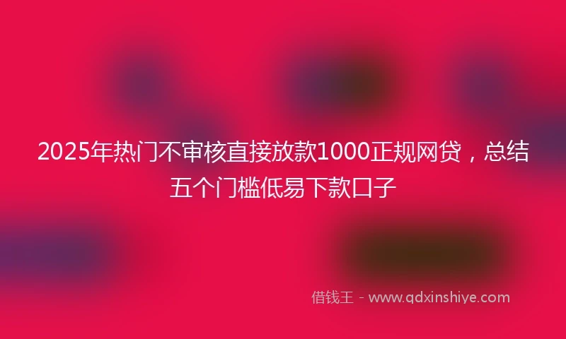 2025年热门不审核直接放款1000正规网贷,总结五个门槛低易下款口子