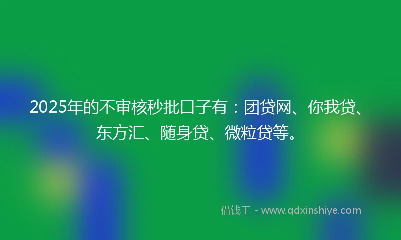 2025年的不审核秒批口子有：团贷网、你我贷、东方汇、随身贷、微粒贷等。