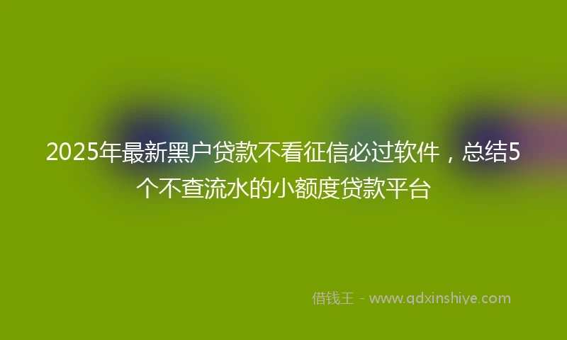 2025年最新黑户贷款不看征信必过软件，总结5个不查流水的小额度贷款平台