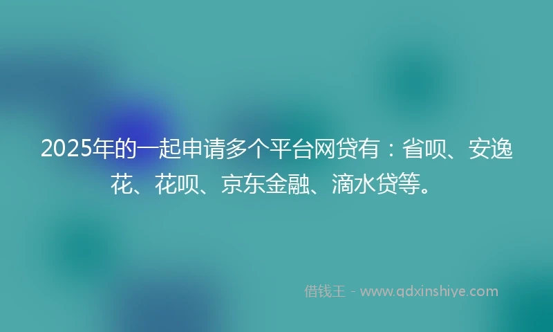 2025年的一起申请多个平台网贷有：省呗、安逸花、花呗、京东金融、滴水贷等。