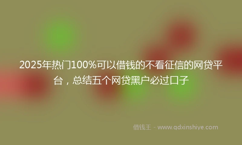 2025年热门100%可以借钱的不看征信的网贷平台，总结五个网贷黑户必过口子