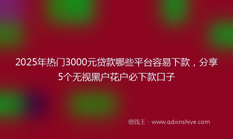2025年热门3000元贷款哪些平台容易下款，分享5个无视黑户花户必下款口子