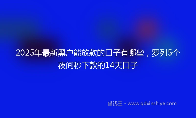 2025年最新黑户能放款的口子有哪些，罗列5个夜间秒下款的14天口子