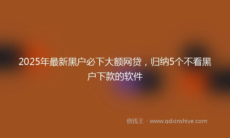 2025年最新黑户必下大额网贷，归纳5个不看黑户下款的软件