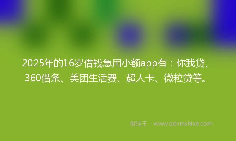 2025年的16岁借钱急用小额app有：你我贷、360借条、美团生活费、超人卡、微粒贷等。