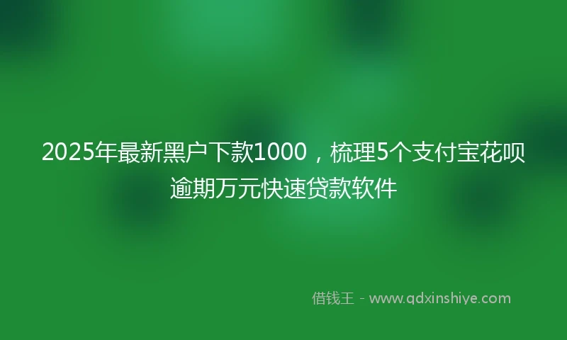 2025年最新黑户下款1000，梳理5个支付宝花呗逾期万元快速贷款软件