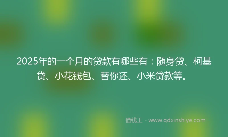 2025年的一个月的贷款有哪些有：随身贷、柯基贷、小花钱包、替你还、小米贷款等。