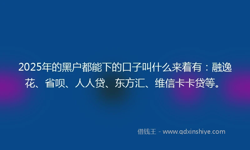 2025年的黑户都能下的口子叫什么来着有：融逸花、省呗、人人贷、东方汇、维信卡卡贷等。