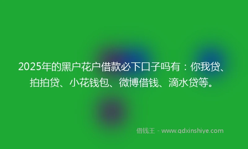 2025年的黑户花户借款必下口子吗有：你我贷、拍拍贷、小花钱包、微博借钱、滴水贷等。