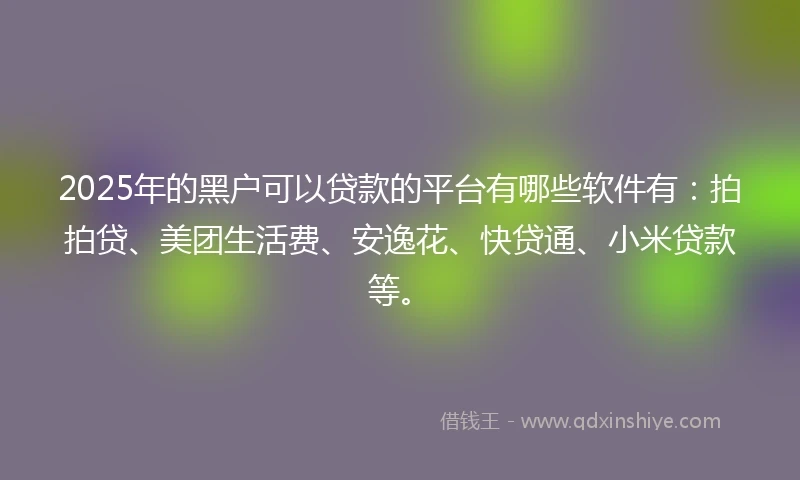 2025年的黑户可以贷款的平台有哪些软件有：拍拍贷、美团生活费、安逸花、快贷通、小米贷款等。