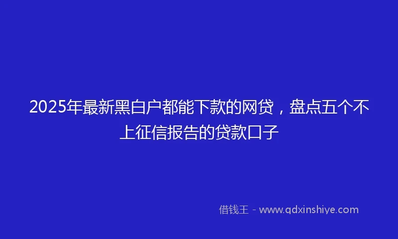 2025年最新黑白户都能下款的网贷，盘点五个不上征信报告的贷款口子