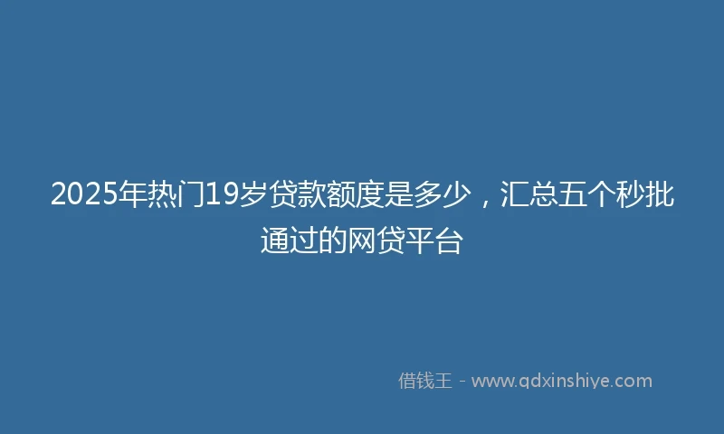 2025年热门19岁贷款额度是多少，汇总五个秒批通过的网贷平台