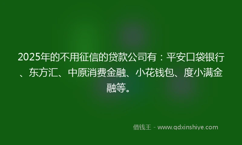 2025年的不用征信的贷款公司有：平安口袋银行、东方汇、中原消费金融、小花钱包、度小满金融等。