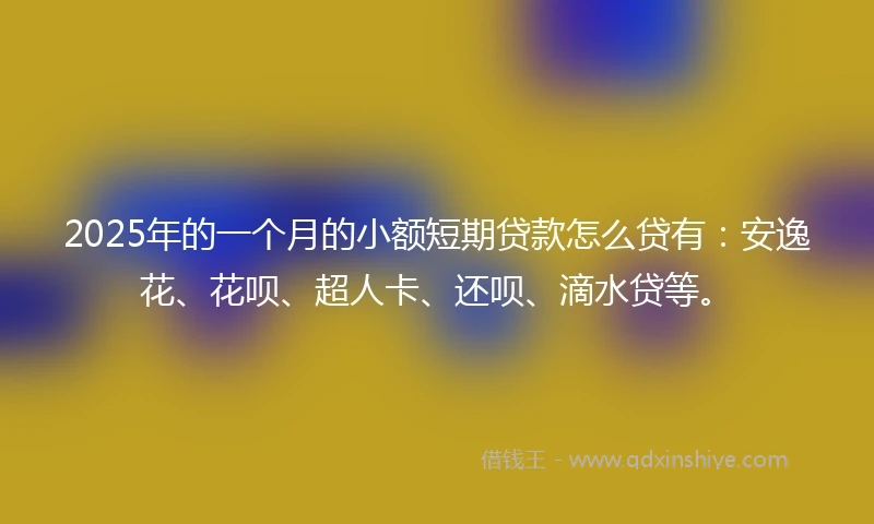 2025年的一个月的小额短期贷款怎么贷有：安逸花、花呗、超人卡、还呗、滴水贷等。
