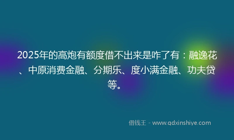 2025年的高炮有额度借不出来是咋了有：融逸花、中原消费金融、分期乐、度小满金融、功夫贷等。