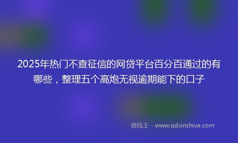 2025年热门不查征信的网贷平台百分百通过的有哪些，整理五个高炮无视逾期能下的口子