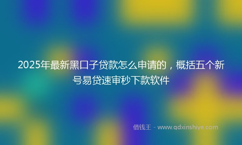 2025年最新黑口子贷款怎么申请的，概括五个新号易贷速审秒下款软件
