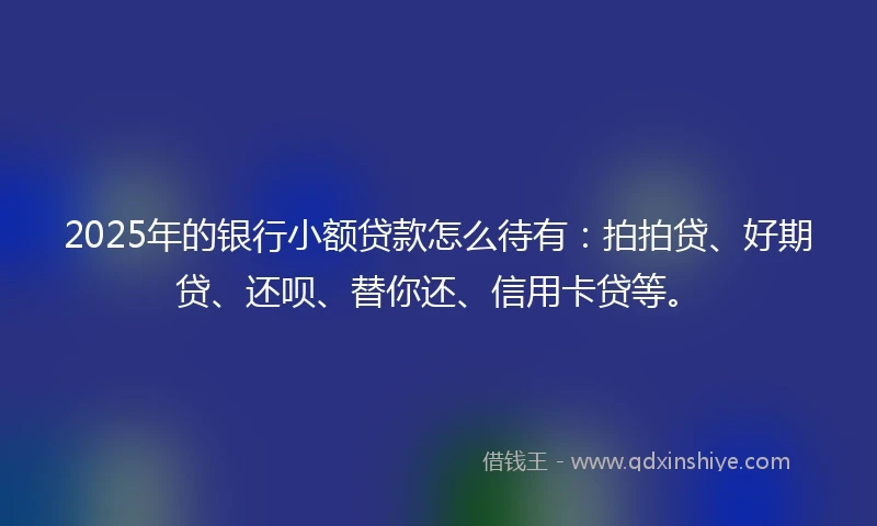 2025年的银行小额贷款怎么待有：拍拍贷、好期贷、还呗、替你还、信用卡贷等。