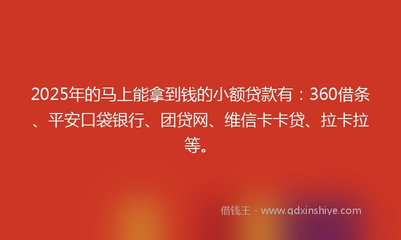2025年的马上能拿到钱的小额贷款有：360借条、平安口袋银行、团贷网、维信卡卡贷、拉卡拉等。