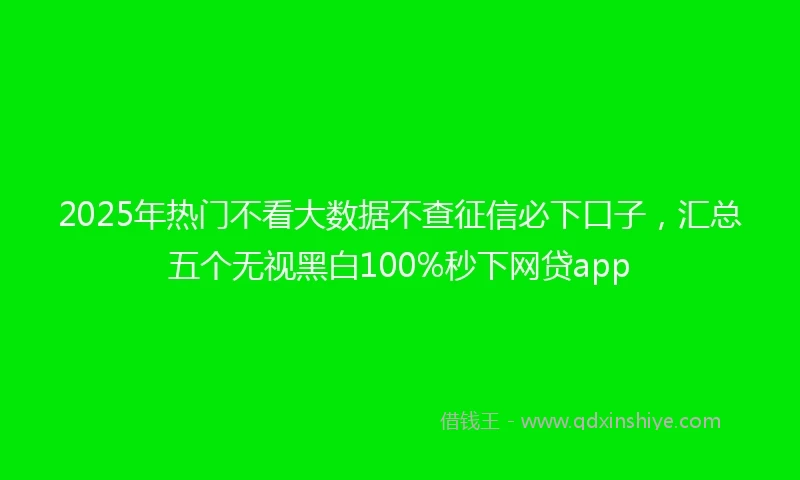 2025年热门不看大数据不查征信必下口子，汇总五个无视黑白100%秒下网贷app