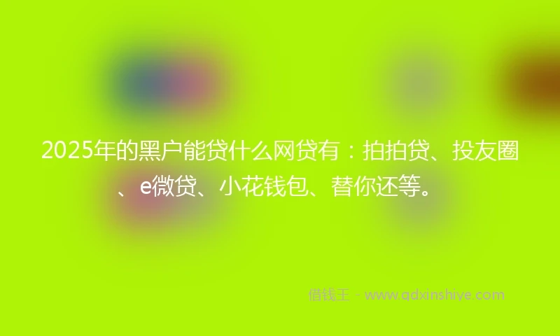 2025年的黑户能贷什么网贷有：拍拍贷、投友圈、e微贷、小花钱包、替你还等。