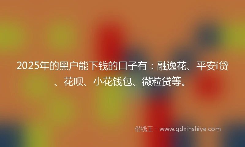 2025年的黑户能下钱的口子有：融逸花、平安i贷、花呗、小花钱包、微粒贷等。