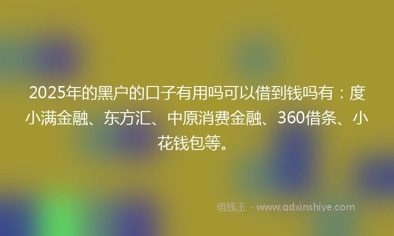 2025年的黑户的口子有用吗可以借到钱吗有:度小满金融、东方汇、中原消费金融、360借条、小花钱包等。