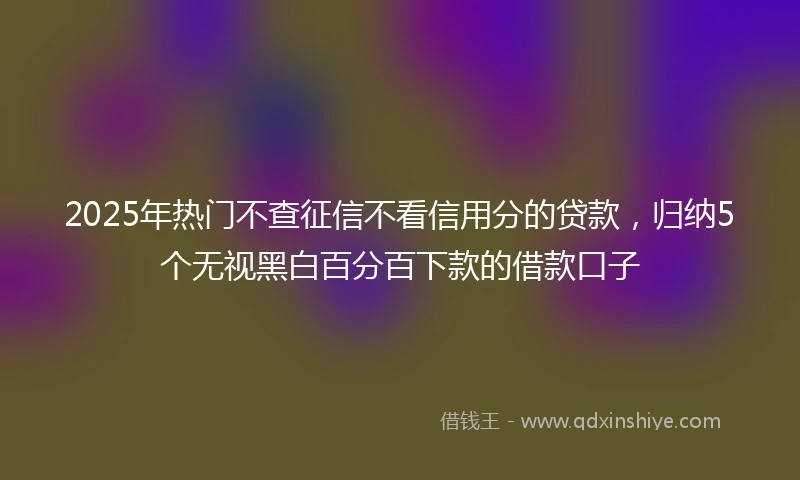 2025年热门不查征信不看信用分的贷款，归纳5个无视黑白百分百下款的借款口子