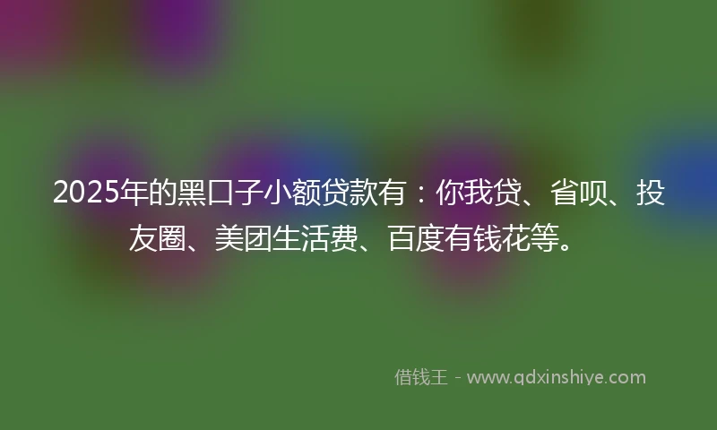 2025年的黑口子小额贷款有：你我贷、省呗、投友圈、美团生活费、百度有钱花等。