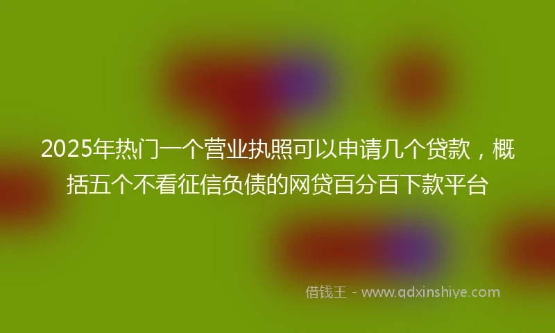 2025年热门一个营业执照可以申请几个贷款，概括五个不看征信负债的网贷百分百下款平台