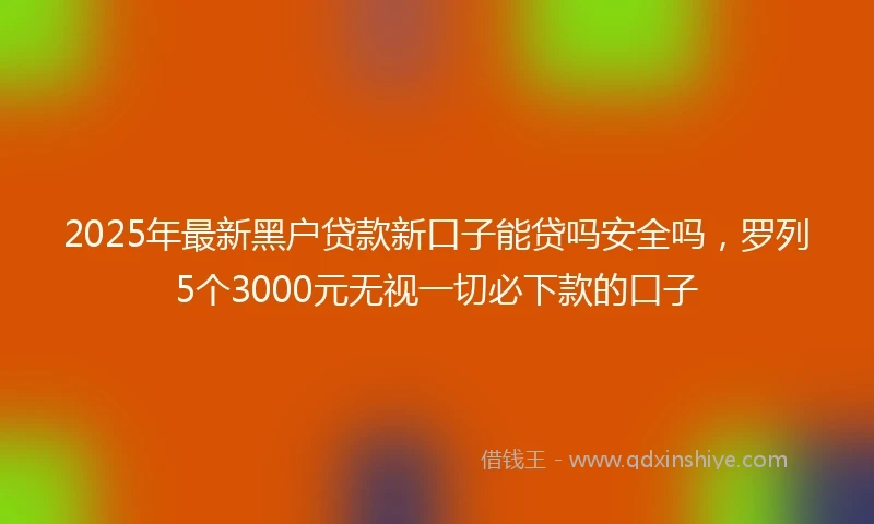 2025年最新黑户贷款新口子能贷吗安全吗，罗列5个3000元无视一切必下款的口子