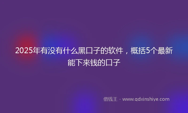 2025年有没有什么黑口子的软件，概括5个最新能下来钱的口子