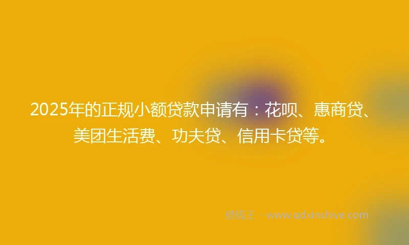 2025年的正规小额贷款申请有：花呗、惠商贷、美团生活费、功夫贷、信用卡贷等。