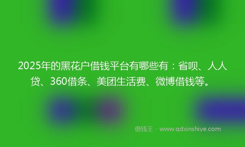 2025年的黑花户借钱平台有哪些有：省呗、人人贷、360借条、美团生活费、微博借钱等。