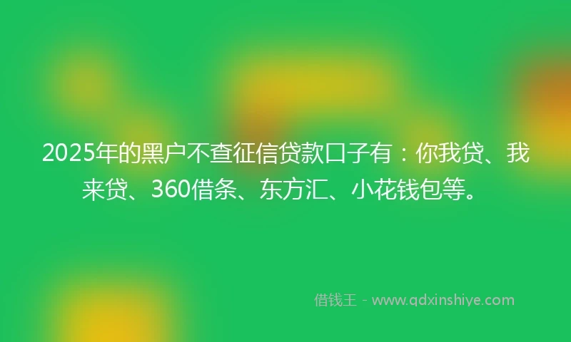 2025年的黑户不查征信贷款口子有：你我贷、我来贷、360借条、东方汇、小花钱包等。
