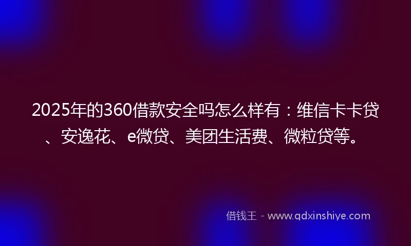 2025年的360借款安全吗怎么样有：维信卡卡贷、安逸花、e微贷、美团生活费、微粒贷等。