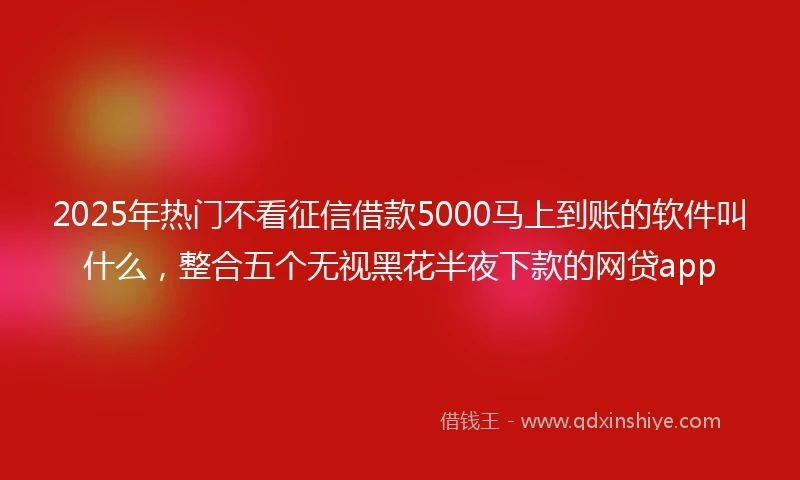 2025年热门不看征信借款5000马上到账的软件叫什么，整合五个无视黑花半夜下款的网贷app