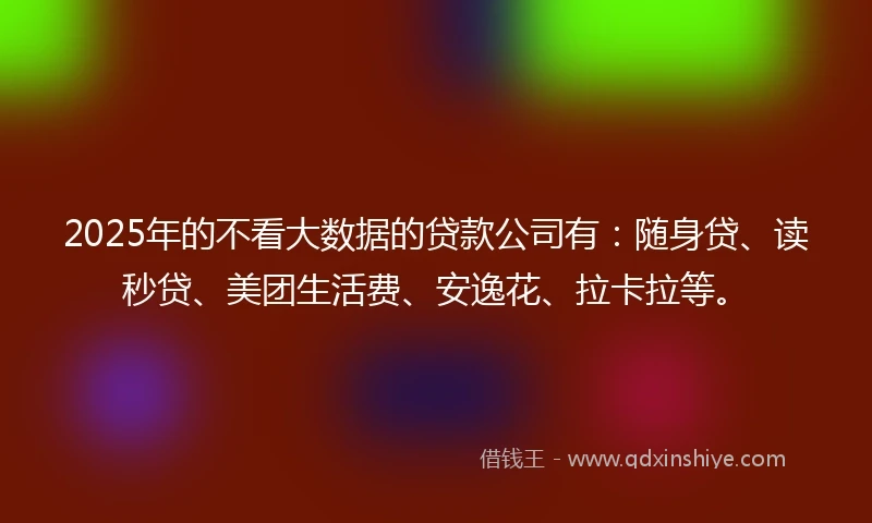 2025年的不看大数据的贷款公司有：随身贷、读秒贷、美团生活费、安逸花、拉卡拉等。