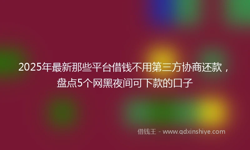 2025年最新那些平台借钱不用第三方协商还款，盘点5个网黑夜间可下款的口子