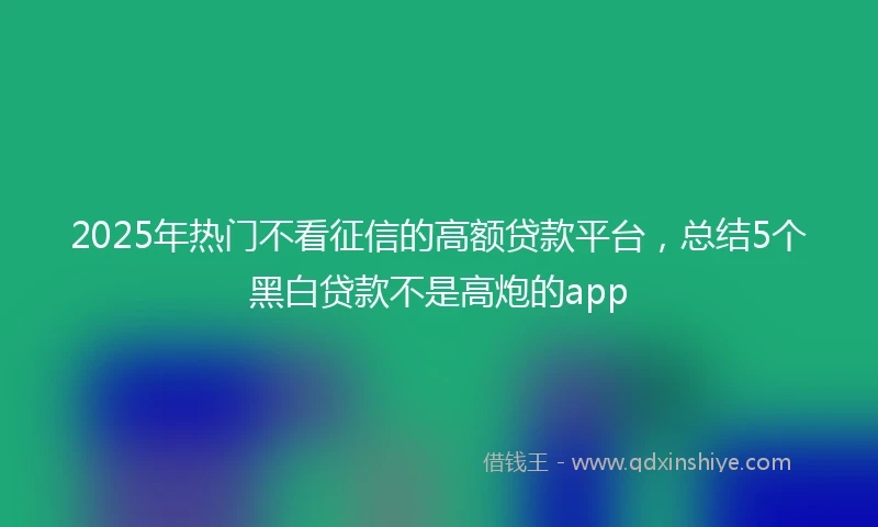 2025年热门不看征信的高额贷款平台,总结5个黑白贷款不是高炮的app
