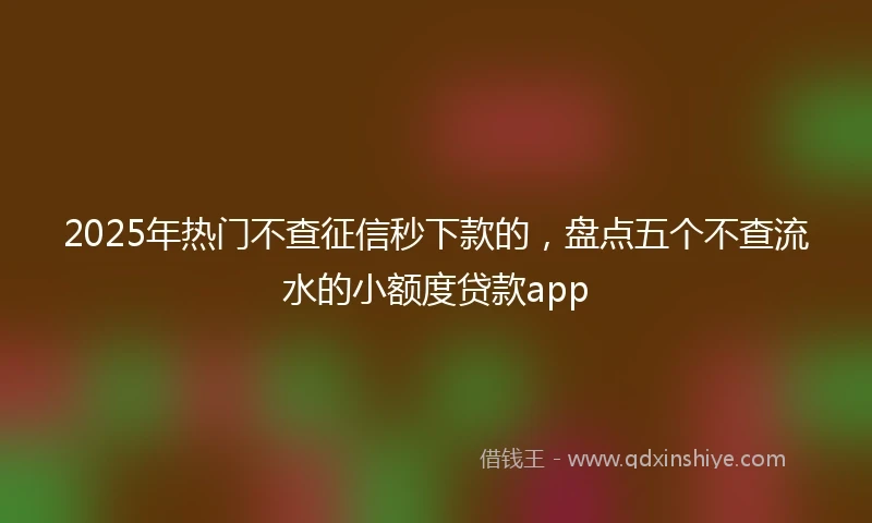 2025年热门不查征信秒下款的，盘点五个不查流水的小额度贷款app