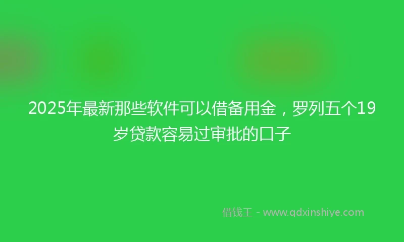 2025年最新那些软件可以借备用金，罗列五个19岁贷款容易过审批的口子