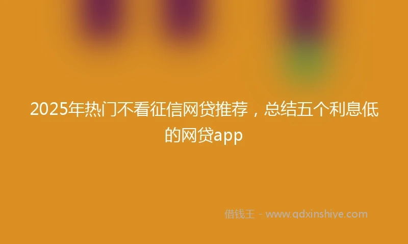 2025年热门不看征信网贷推荐，总结五个利息低的网贷app