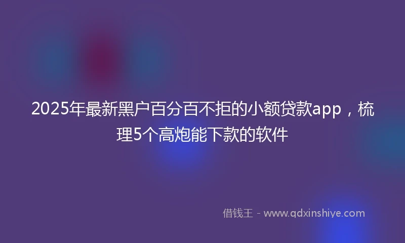 2025年最新黑户百分百不拒的小额贷款app，梳理5个高炮能下款的软件