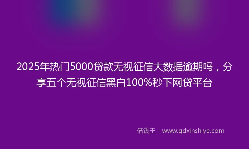 2025年热门5000贷款无视征信大数据逾期吗，分享五个无视征信黑白100%秒下网贷平台