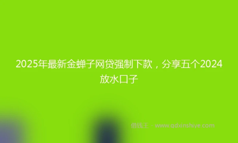 2025年最新金蝉子网贷强制下款，分享五个2024放水口子