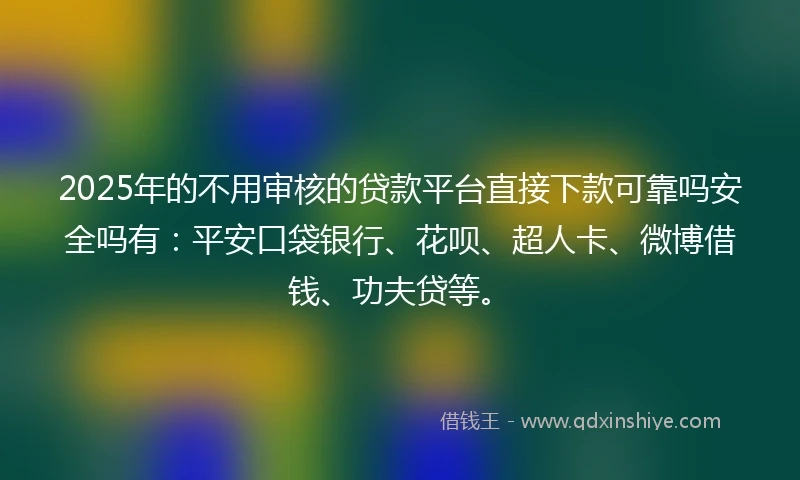 2025年的不用审核的贷款平台直接下款可靠吗安全吗有：平安口袋银行、花呗、超人卡、微博借钱、功夫贷等。
