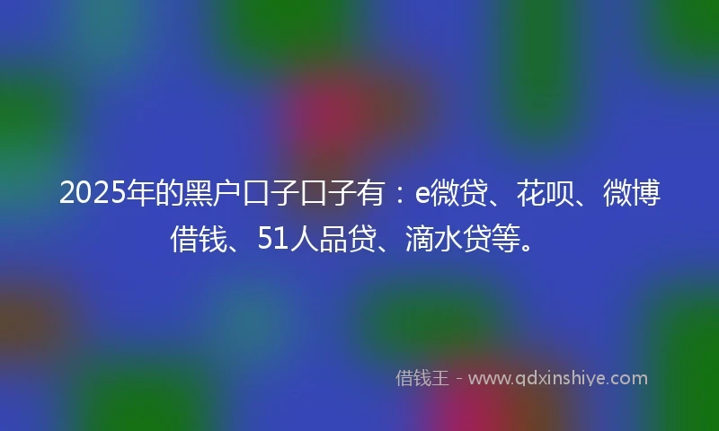 2025年的黑户口子口子有：e微贷、花呗、微博借钱、51人品贷、滴水贷等。