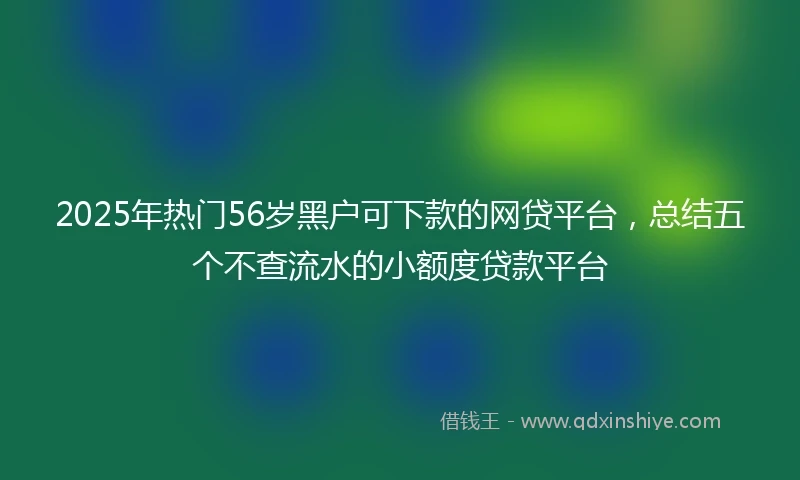 2025年热门56岁黑户可下款的网贷平台，总结五个不查流水的小额度贷款平台